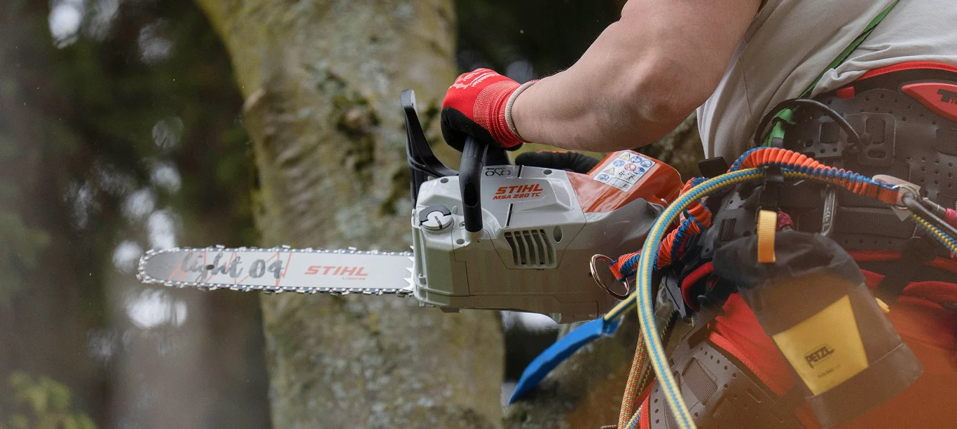 Ein Mann schneidet mit einer STIHL Motorsäge einen Baum in einem Waldgebiet.